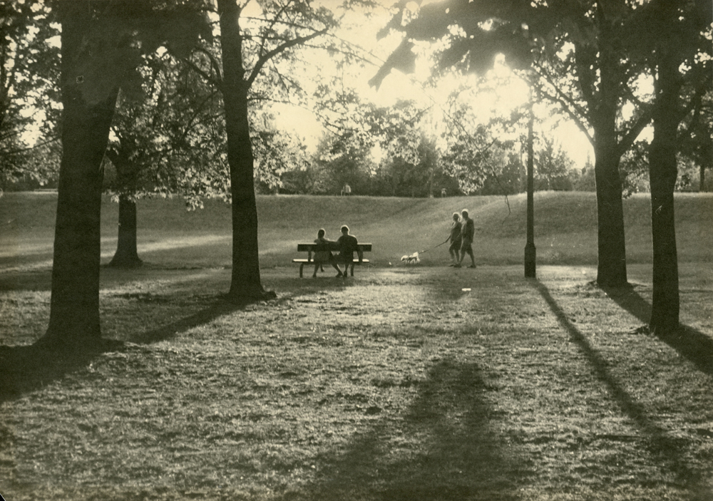 ruben van luijk: park kaprowicza, poznań